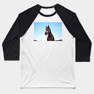 christmas horse photograph Baseball T-Shirt